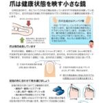 健康だよりNo287 爪 2025年10月発行のサムネイル